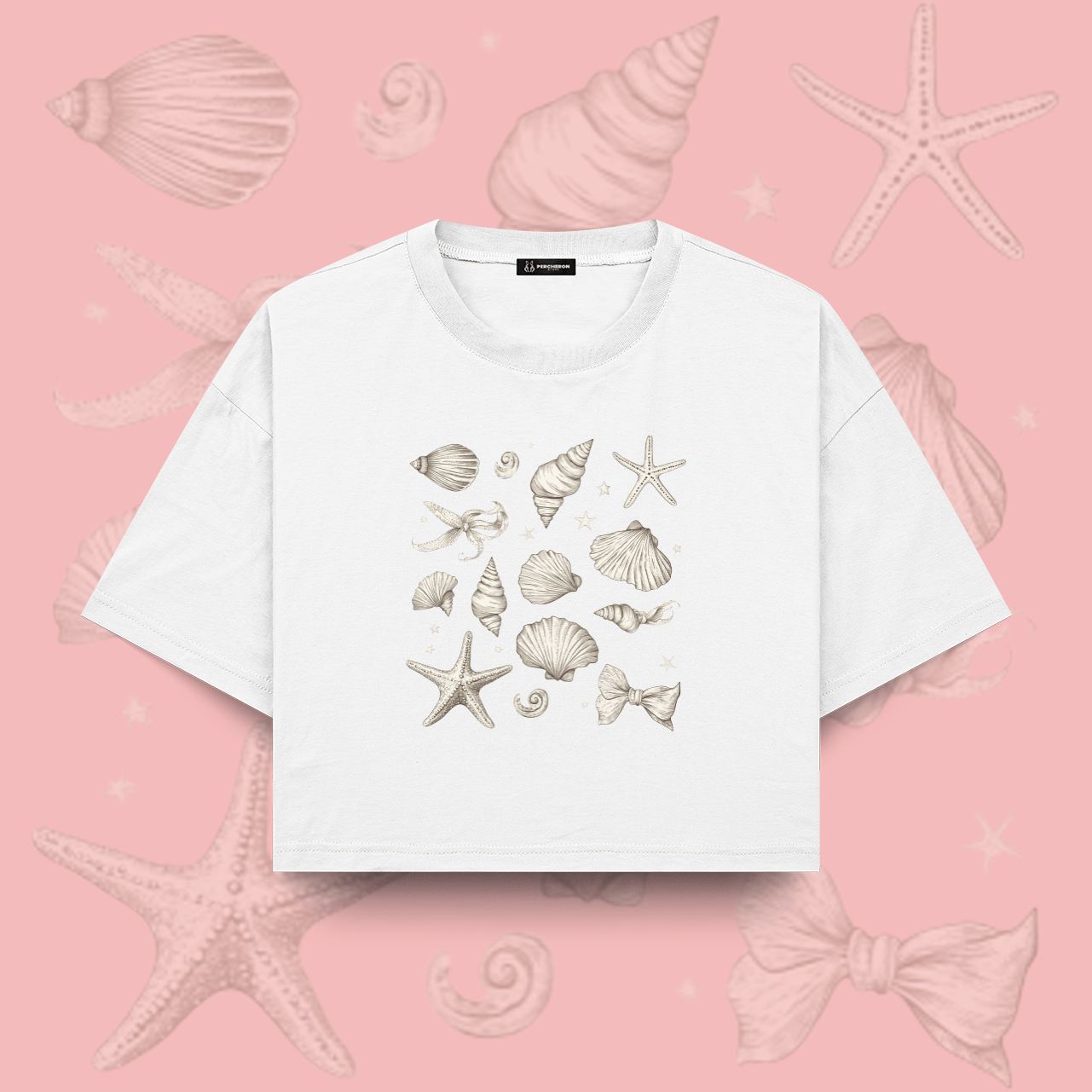 Shells - Crop